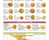 象山柑橘最新品種_象山秋季特產