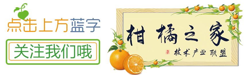 沃柑皮上有黑點(diǎn)是怎么回事（沃柑皮里面發(fā)黑是怎么回事）