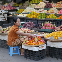 柑橘有哪些病害用什么藥（柑橘通常有哪些?。? /></p><p>據(jù)在四川觀察，3～5月，一般在柑橘開花前后大量發(fā)生，出現(xiàn)之一次螨口高峰；廣東地區(qū)，在立春后天氣轉(zhuǎn)暖時(shí)，越冬卵出現(xiàn)1～2個(gè)盛孵期。這時(shí)是防治次數(shù)最多的時(shí)期。9～11月秋梢抽發(fā)好的柑橘樹，還會(huì)發(fā)生第二次高峰。一般來(lái)說(shuō)，春季的高峰比秋季的高峰嚴(yán)重，秋梢受害嚴(yán)重時(shí)，冬季會(huì)出現(xiàn)大量落葉。</p><h2 id='柑橘常見病蟲害防治'>柑橘常見病蟲害防治</h2><p>蚜蟲：主要危害柑橘的嫩葉、嫩枝和花蕾等部位，導(dǎo)致葉片卷曲、枯萎、花朵凋謝等癥狀。防治 *** ：定期噴灑殺蟲劑；采用生物防治 *** ，如引入天敵昆蟲等。 紅蜘蛛：主要危害柑橘的葉片和果實(shí)，導(dǎo)致葉片變黃、脫落，果實(shí)變形、變色等癥狀。防治 *** ：定期噴灑殺蟲劑；采用生物防治 *** ，如引入天敵昆蟲等。</p><p style=